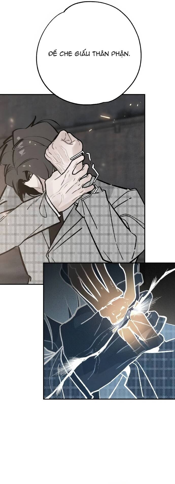 Chàng Rể Quỷ Quyệt Chapter 23 - 22