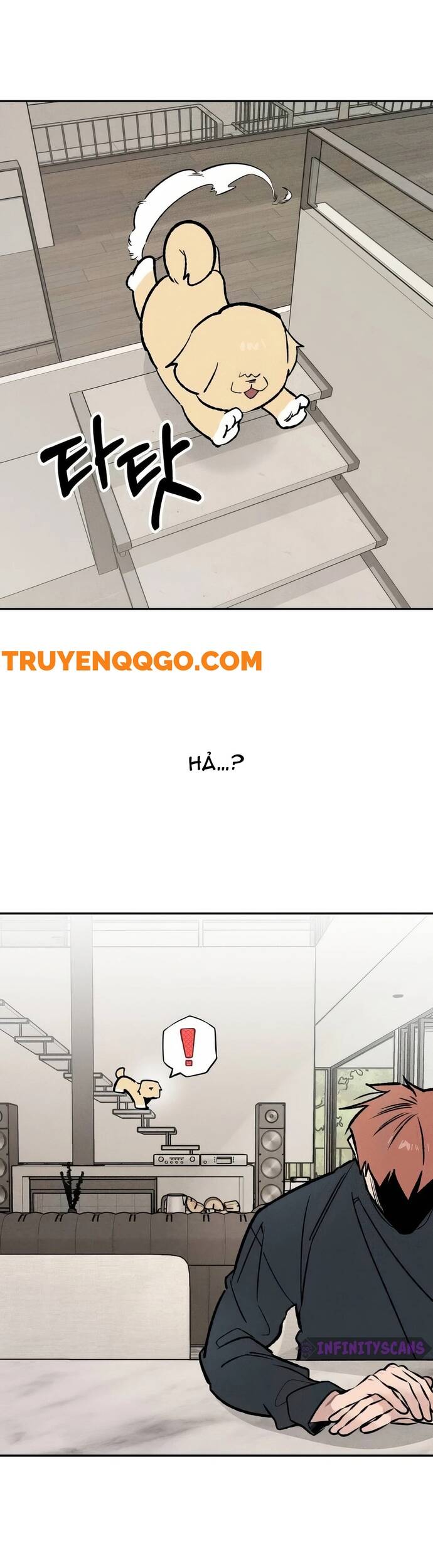 Chàng Rể Quỷ Quyệt Chapter 23 - 29