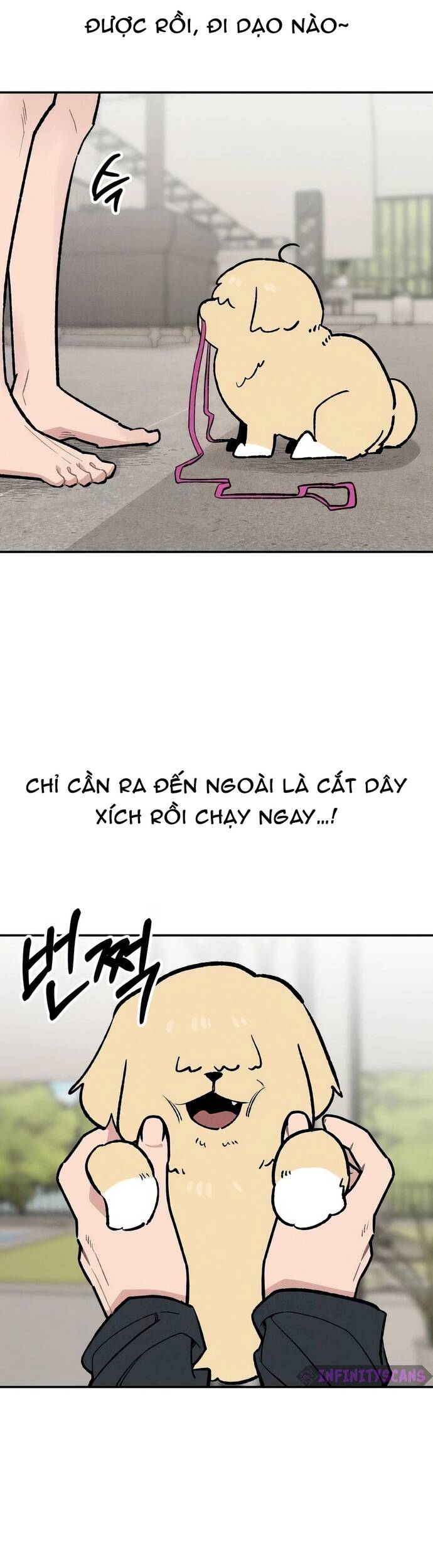 Chàng Rể Quỷ Quyệt Chapter 23 - 33