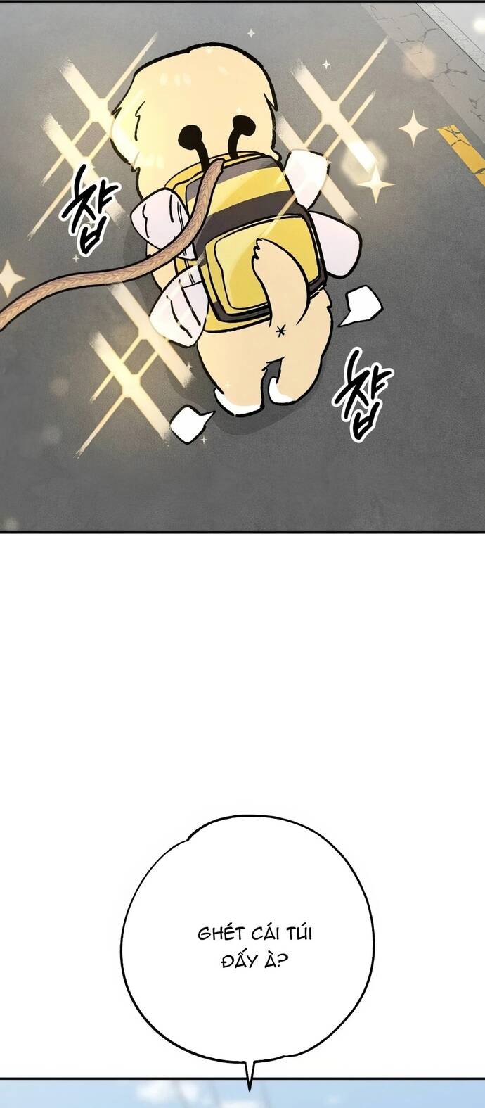 Chàng Rể Quỷ Quyệt Chapter 23 - 46