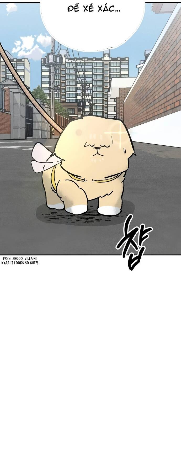 Chàng Rể Quỷ Quyệt Chapter 23 - 51