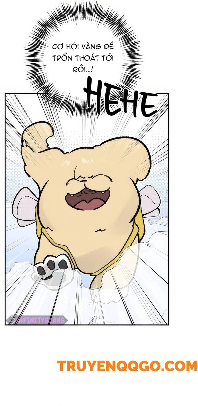 Chàng Rể Quỷ Quyệt Chapter 24 - 32