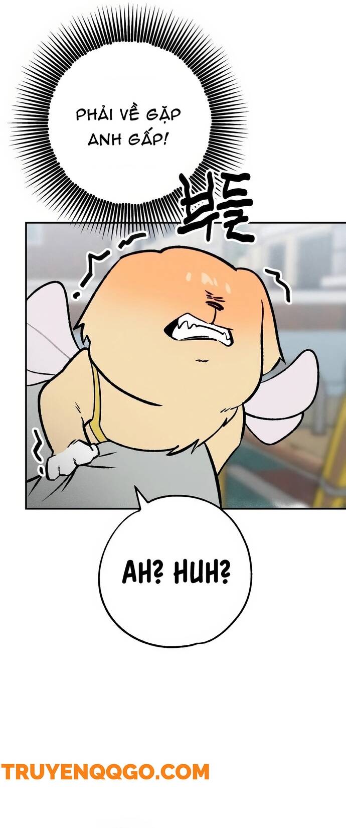 Chàng Rể Quỷ Quyệt Chapter 25 - 18