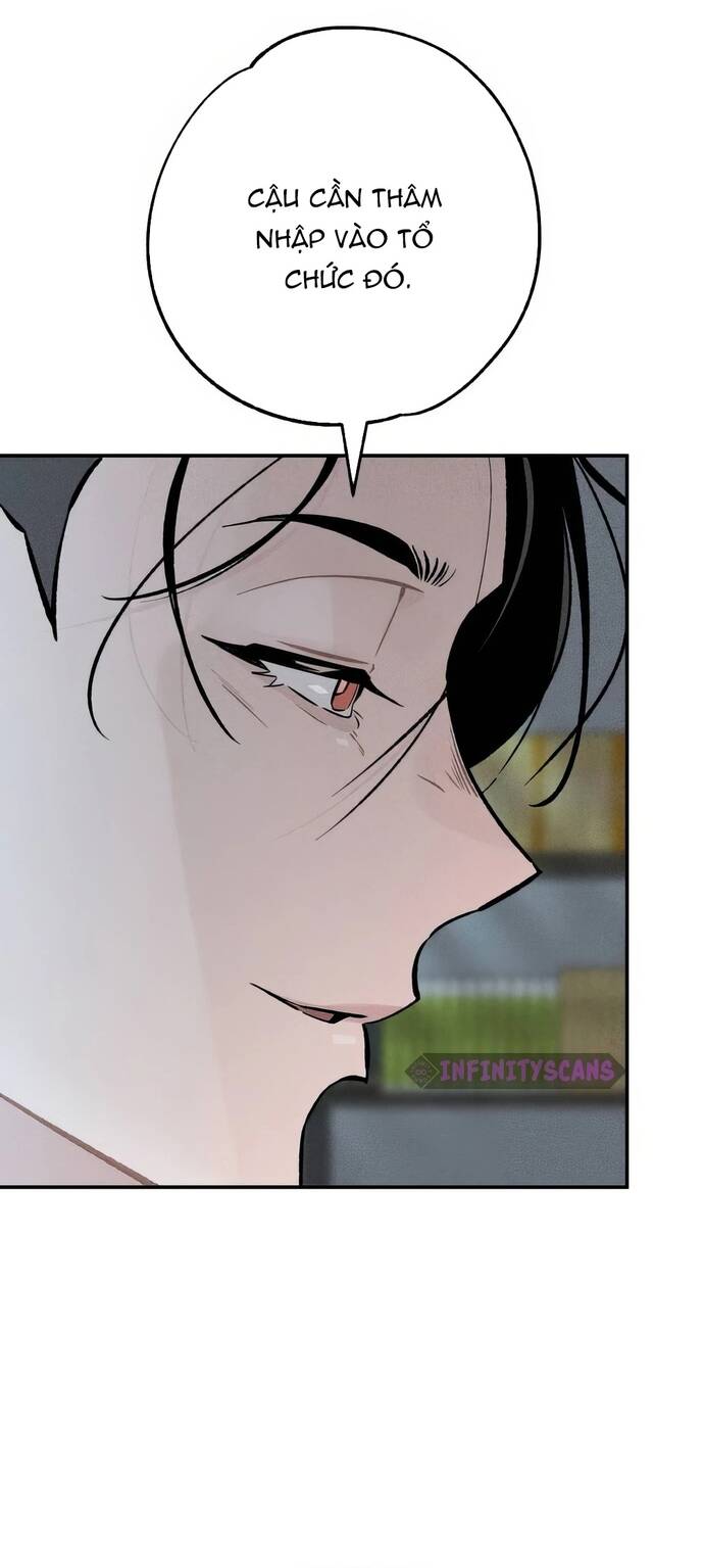 Chàng Rể Quỷ Quyệt Chapter 27 - 49