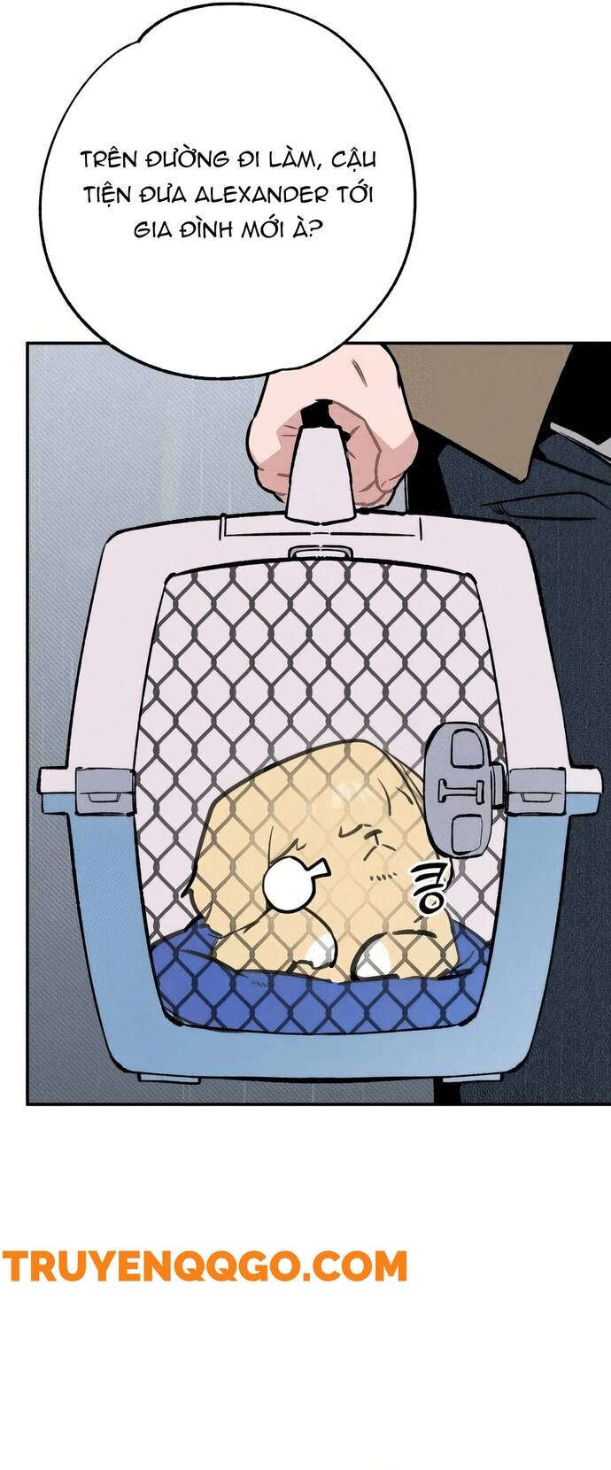 Chàng Rể Quỷ Quyệt Chapter 28 - 12