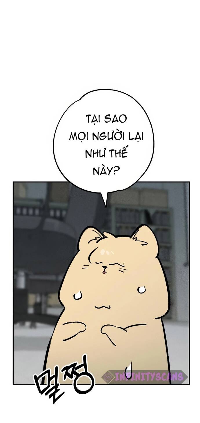 Chàng Rể Quỷ Quyệt Chapter 40 - 38