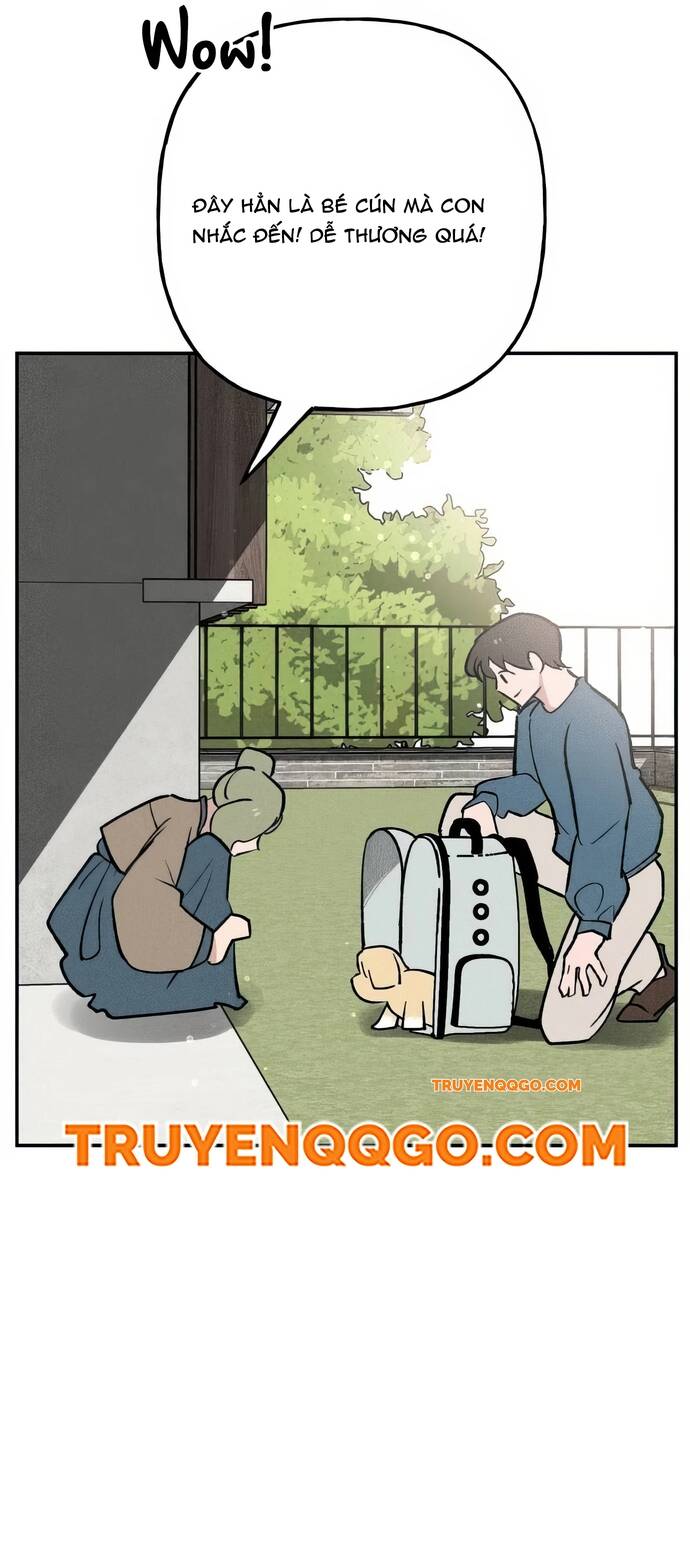 Chàng Rể Quỷ Quyệt Chapter 6 - 11