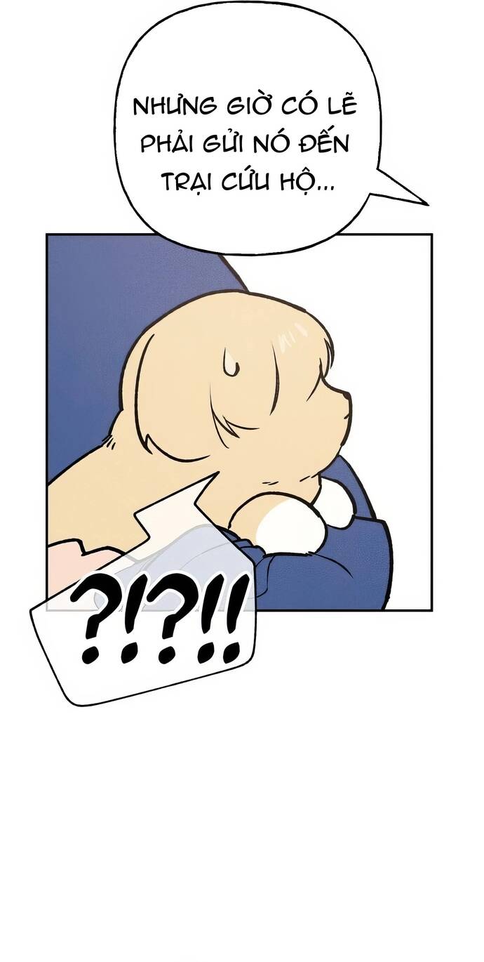 Chàng Rể Quỷ Quyệt Chapter 7 - 33