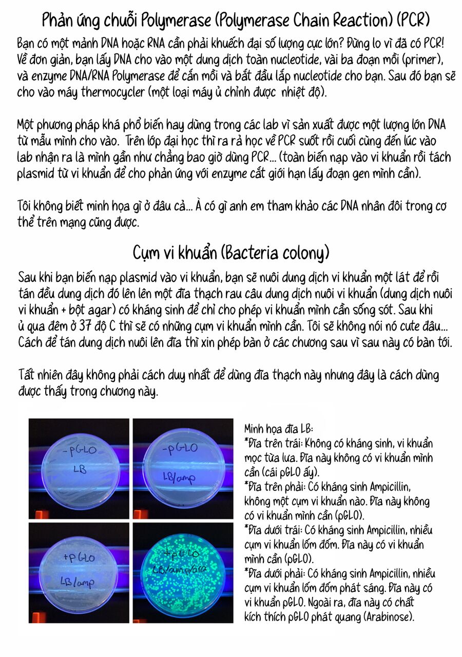 Lalalab ~Gyaru, Khoa Học, Và Thanh Xuân!~ Chapter 4 - 11