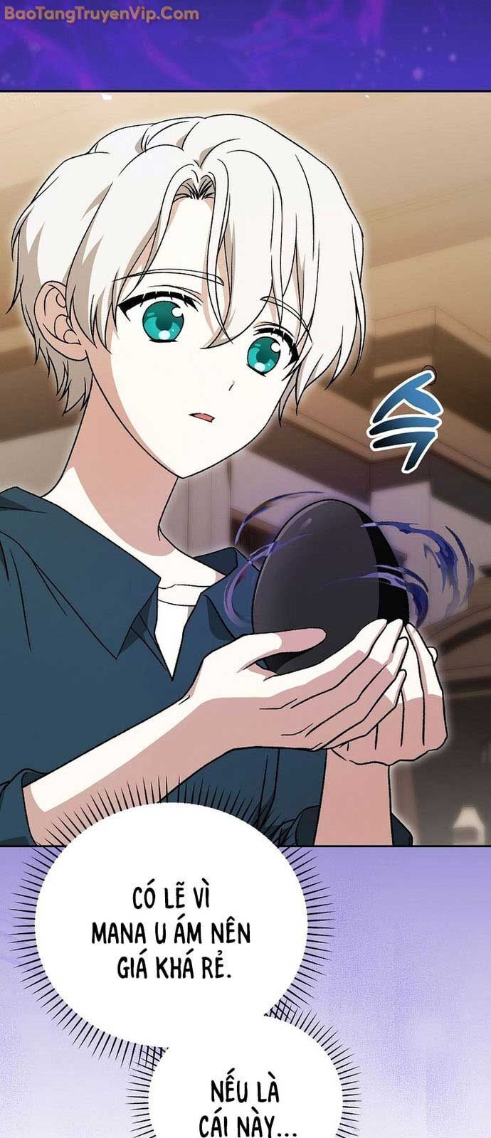 Thiên Tài Phép Thuật Nắm Giữ Khái Niệm Chapter 13 - 60