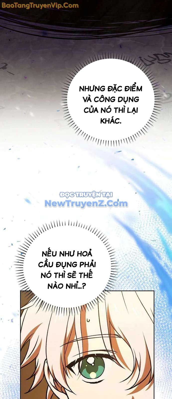 Thiên Tài Phép Thuật Nắm Giữ Khái Niệm Chapter 16 - 9