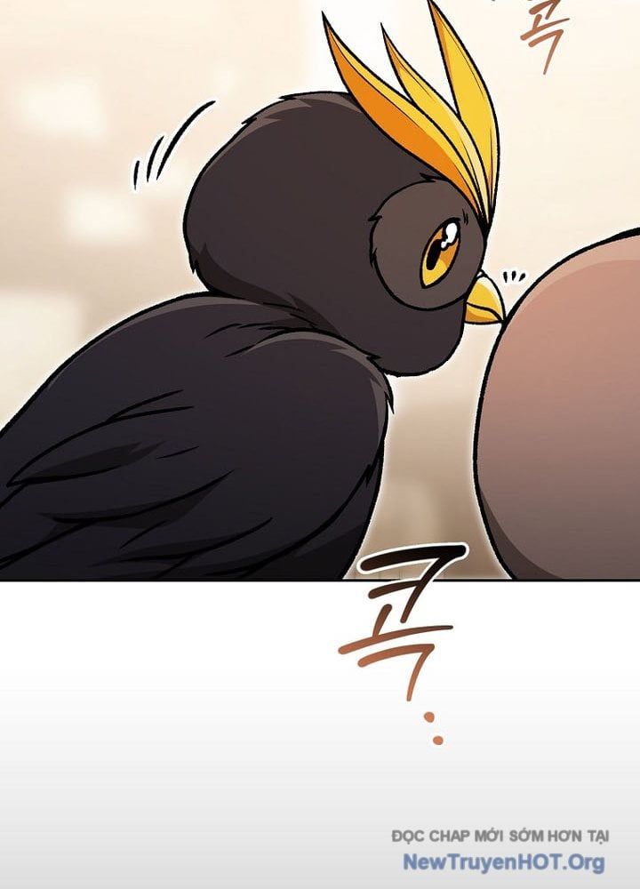 Thiên Tài Phép Thuật Nắm Bắt Khái Niệm Chapter 33 - 15