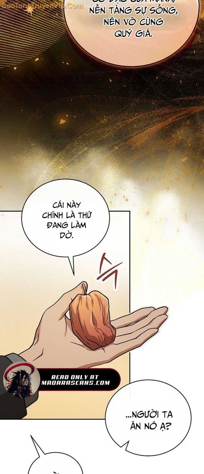 Thiên Tài Phép Thuật Nắm Giữ Khái Niệm Chapter 8 - 27