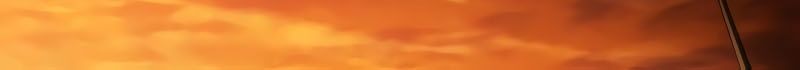 Wild Ranker Chapter 16 - 101