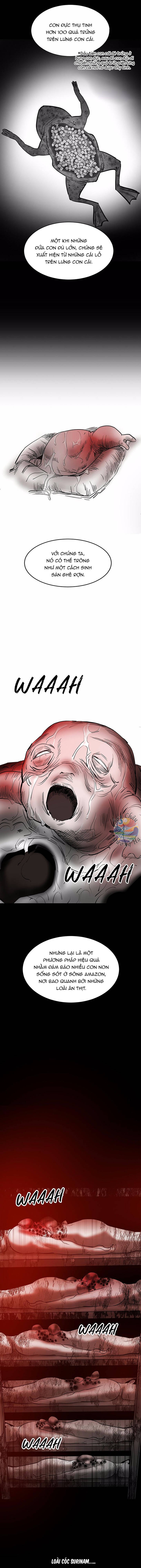 Lướt Tiếp Nếu Bạn Dám Chapter 10 - 15