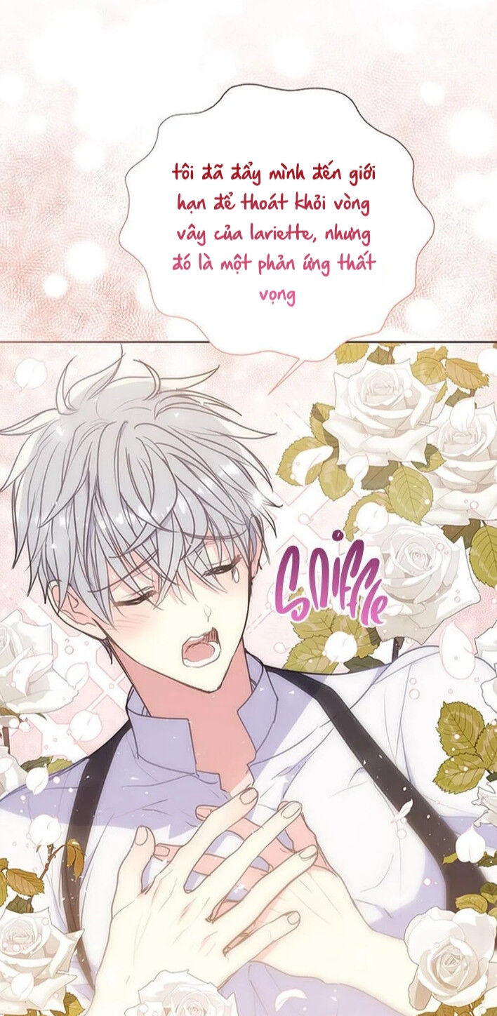 Bệ Hạ Xin Đừng Giết Tôi!!! Chapter 71 - 11