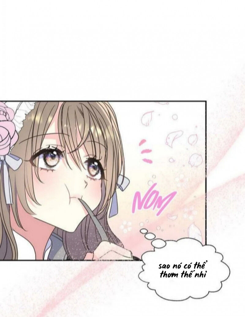 Bệ Hạ Xin Đừng Giết Tôi!!! Chapter 71 - 5