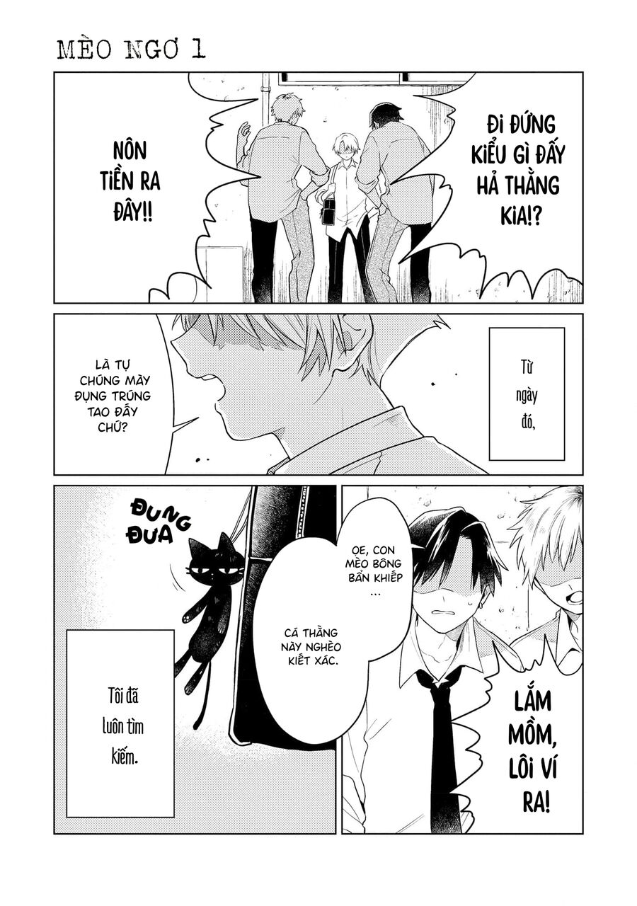 Cậu Đấu Gấu Và Chú Bông Xù Chapter 1 - 3