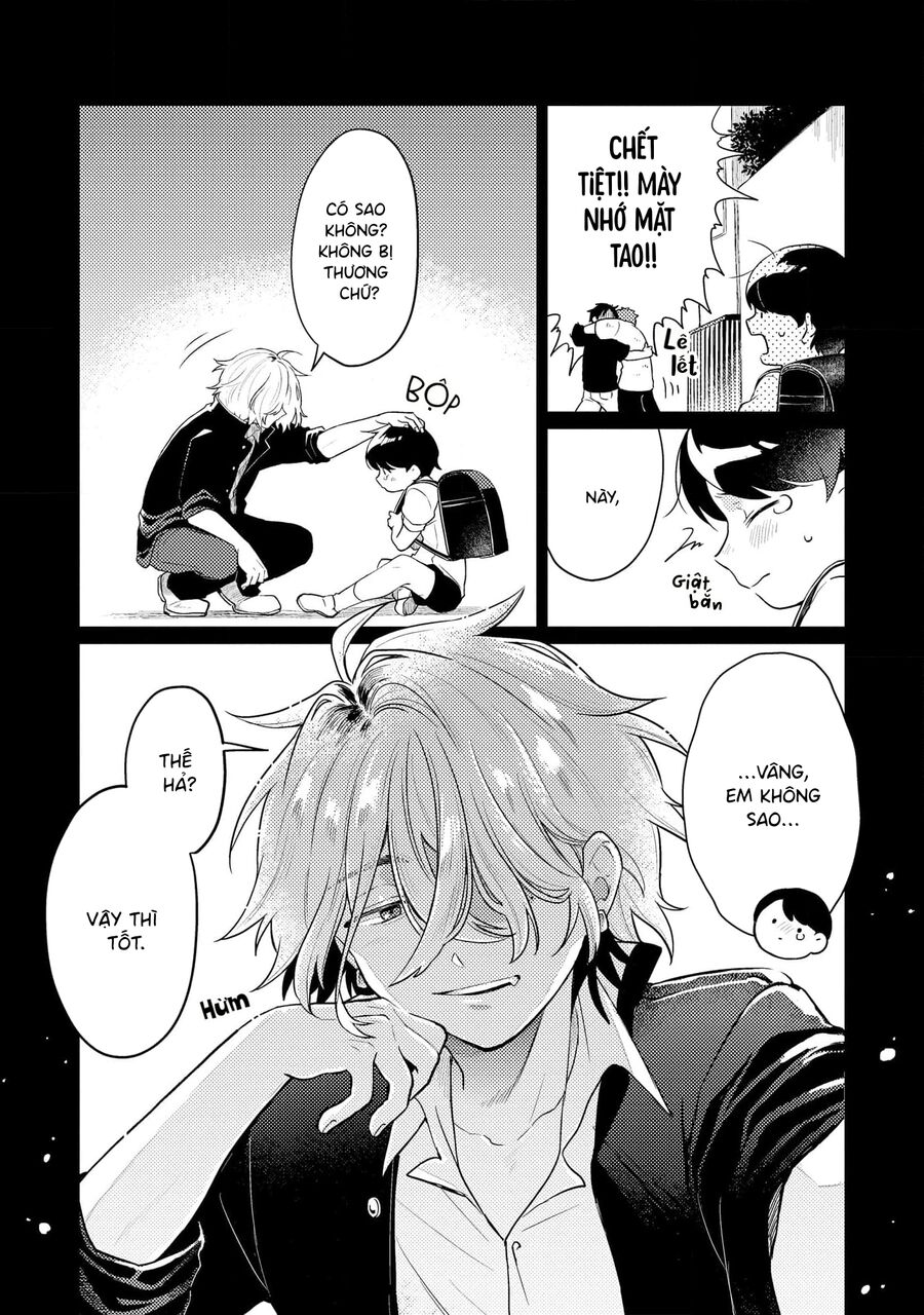 Cậu Đấu Gấu Và Chú Bông Xù Chapter 1 - 8