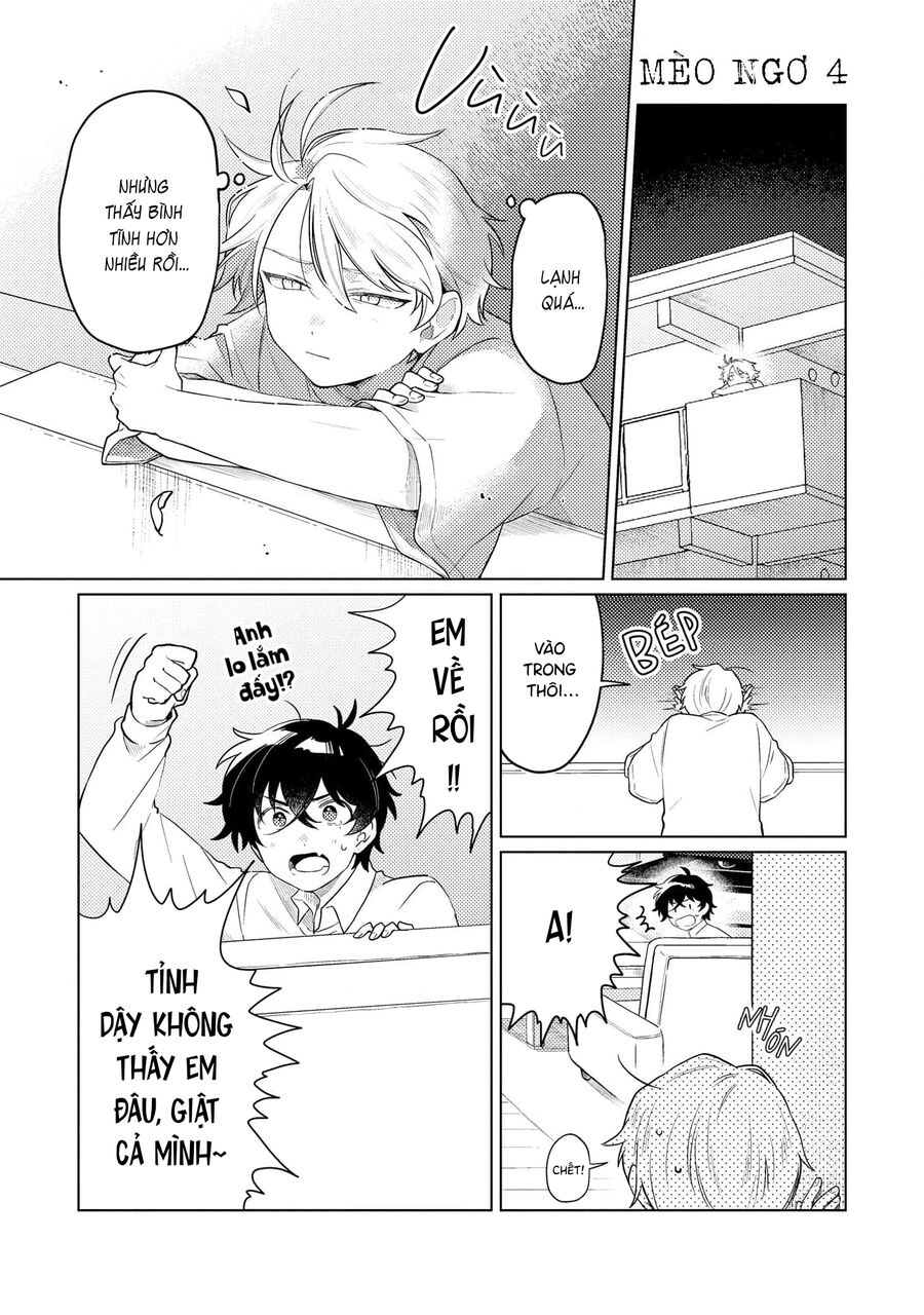 Cậu Đấu Gấu Và Chú Bông Xù Chapter 4 - 3