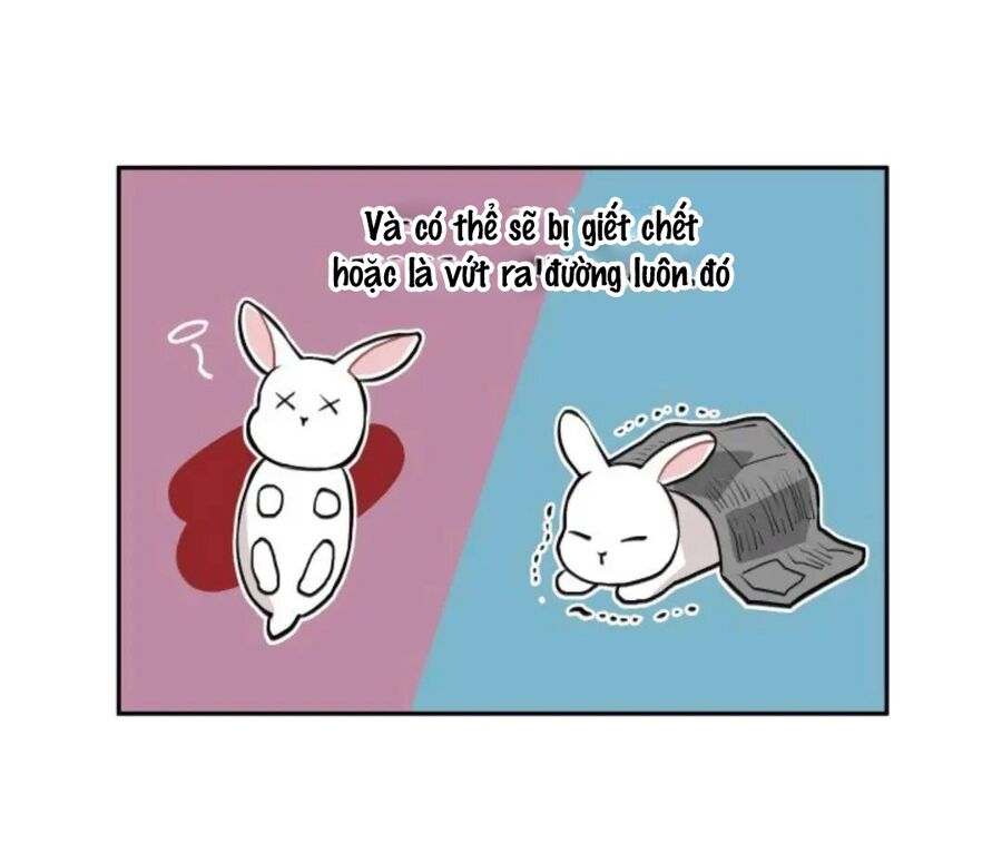 Xuyên Vào Teenfic Làm Thị Nữ Chapter 11 - 16