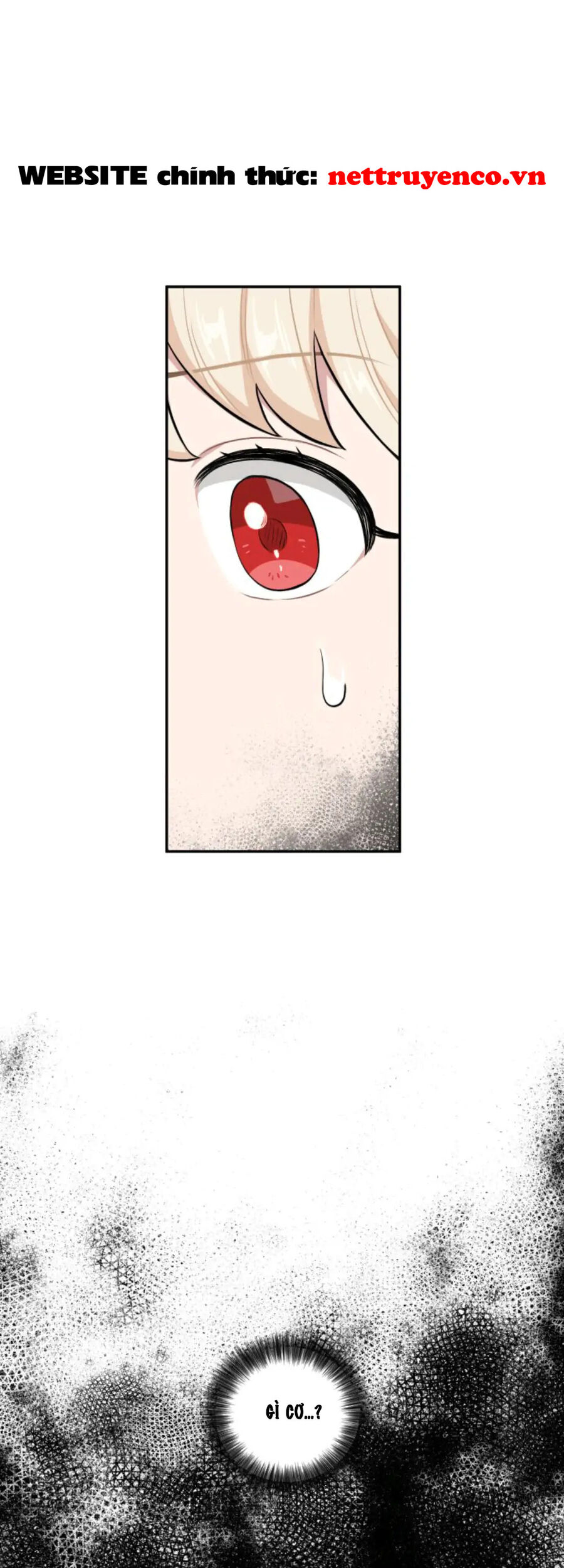 Xuyên Vào Teenfic Làm Thị Nữ Chapter 21 - 32