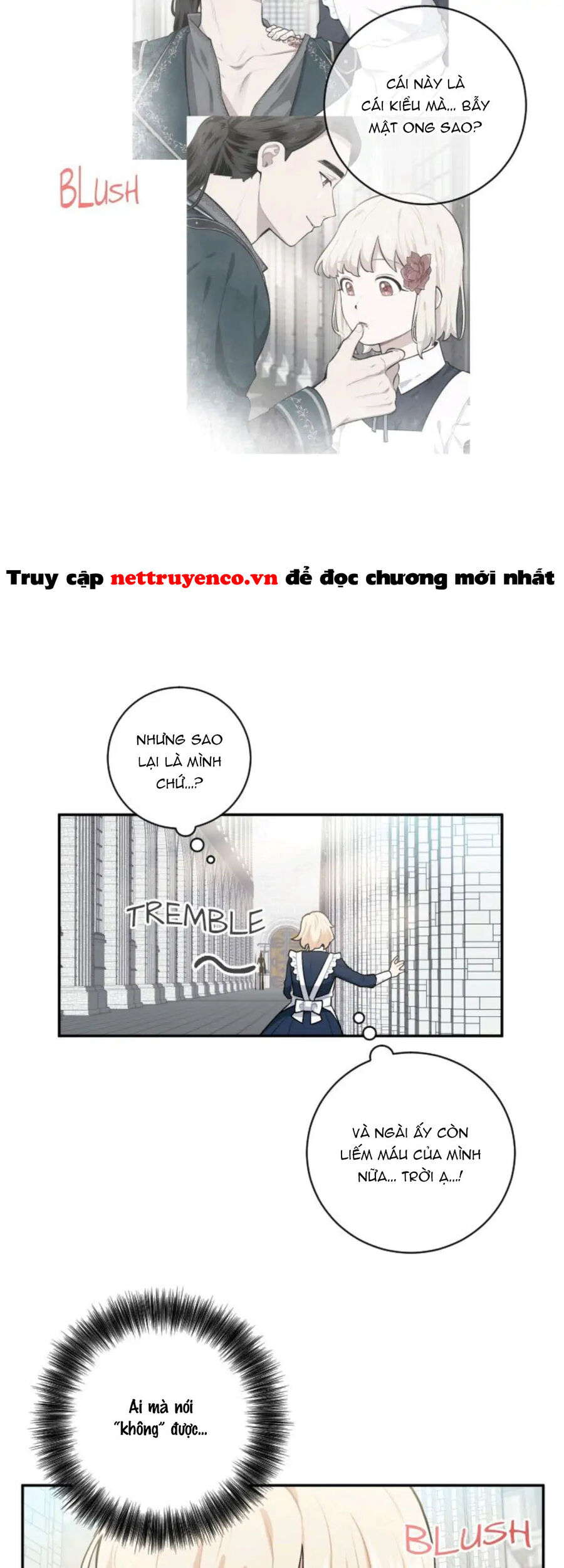 Xuyên Vào Teenfic Làm Thị Nữ Chapter 23 - 2
