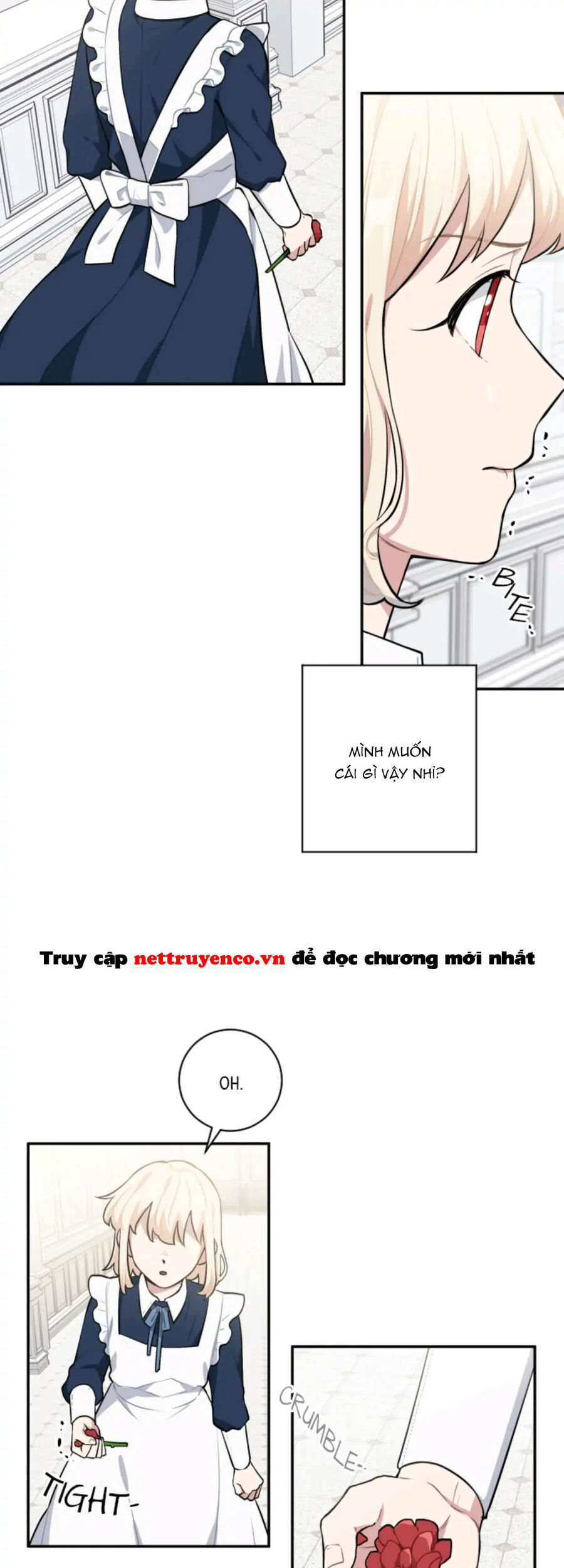 Xuyên Vào Teenfic Làm Thị Nữ Chapter 24 - 9