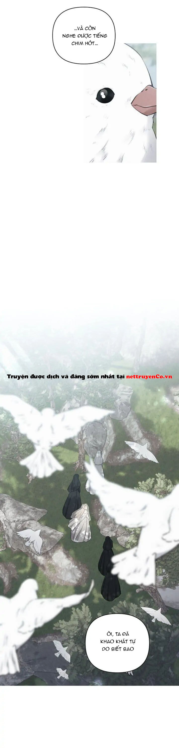 Xuyên Vào Teenfic Làm Thị Nữ Chapter 59 - 9