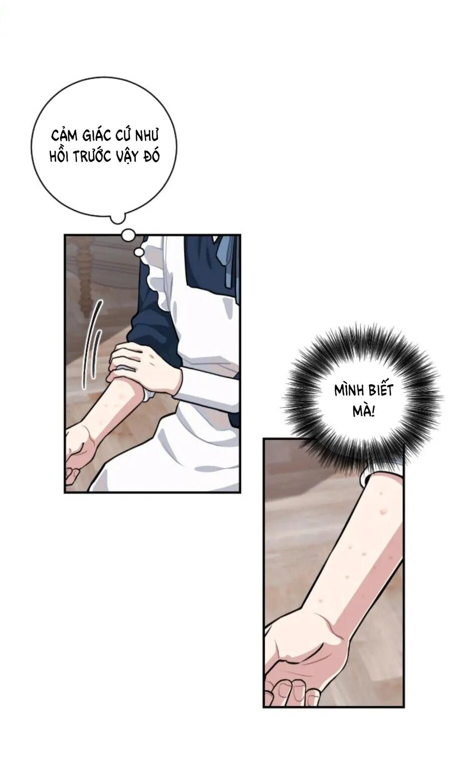 Xuyên Vào Teenfic Làm Thị Nữ Chapter 9 - 21