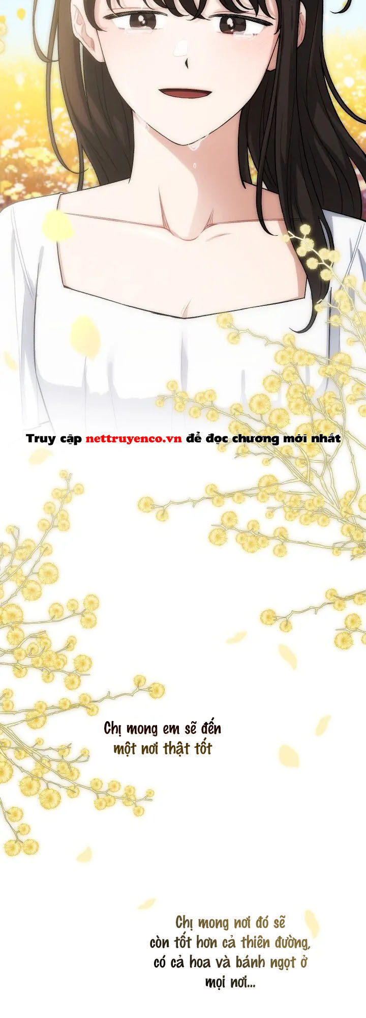 Xuyên Vào Teenfic Làm Thị Nữ Chapter 91 - 54