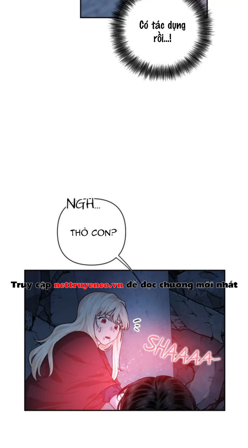 Xuyên Vào Teenfic Làm Thị Nữ Chapter 92 - 11