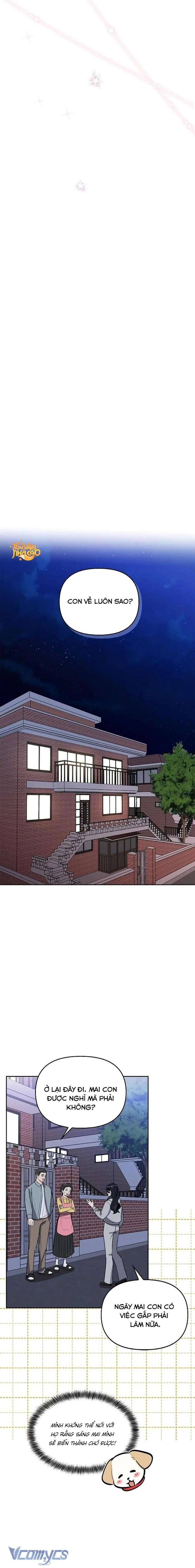 Sếp, Em Sẽ Trở Thành Cún Cưng Của Anh Chapter 28 - 13