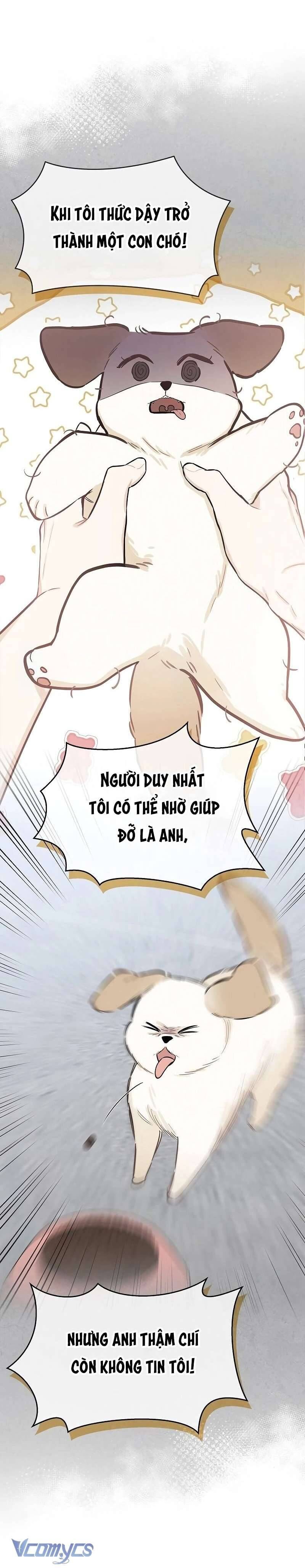 Sếp, Em Sẽ Trở Thành Cún Cưng Của Anh Chapter 5 - 16
