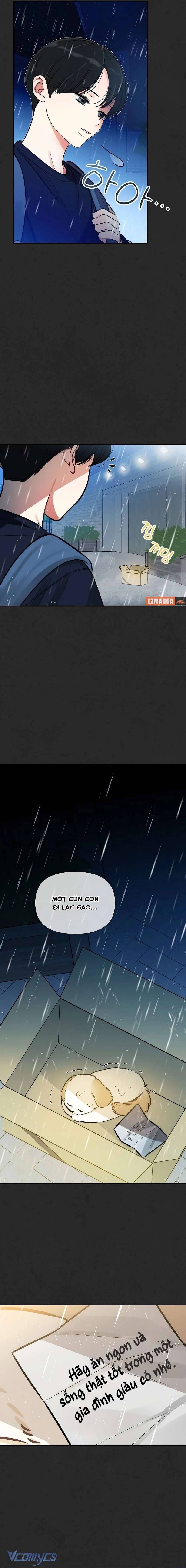 Sếp, Em Sẽ Trở Thành Cún Cưng Của Anh Chapter 6 - 11