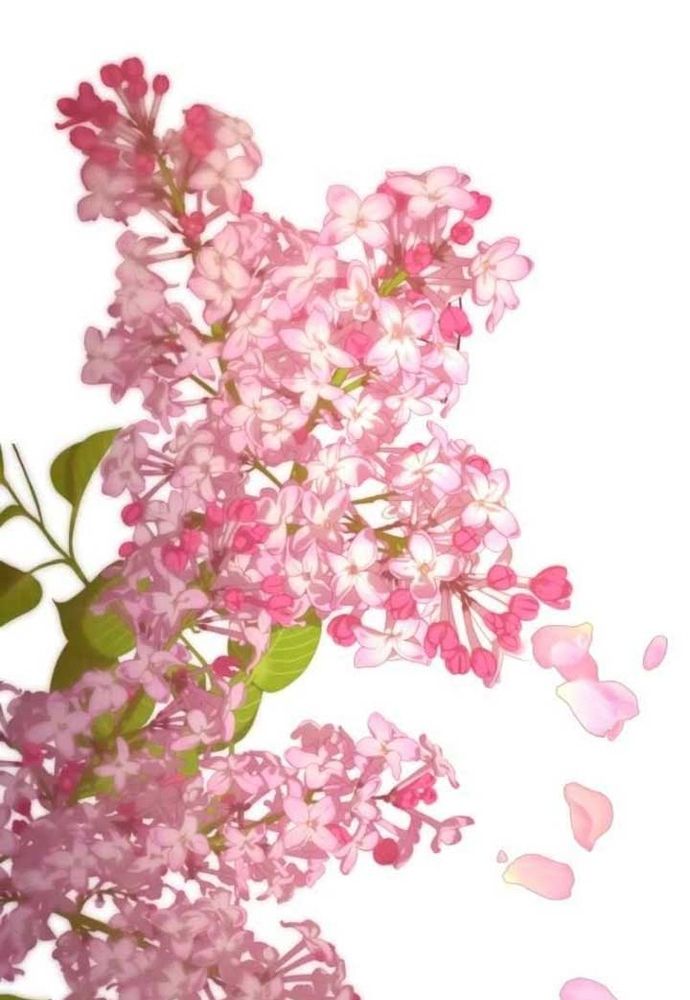 Winterbell Chapter 42 - 92