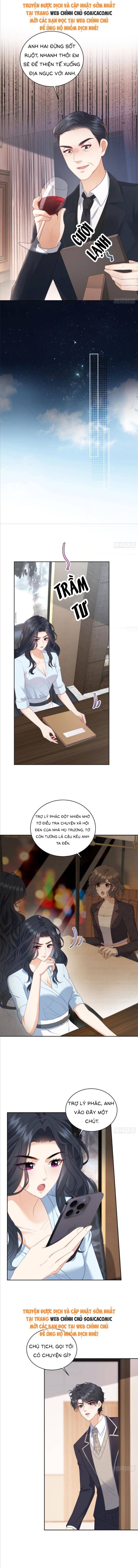 Bạn Gái Giả Ngốc Của Chủ Tịch Chapter 13 - Trang 2