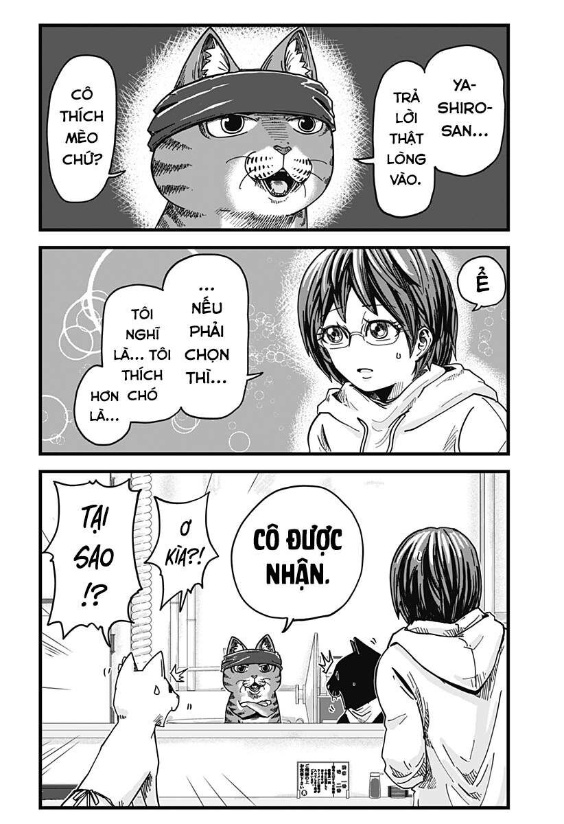 Quán Ramen Mèo Đỏ Chapter 1 - 11