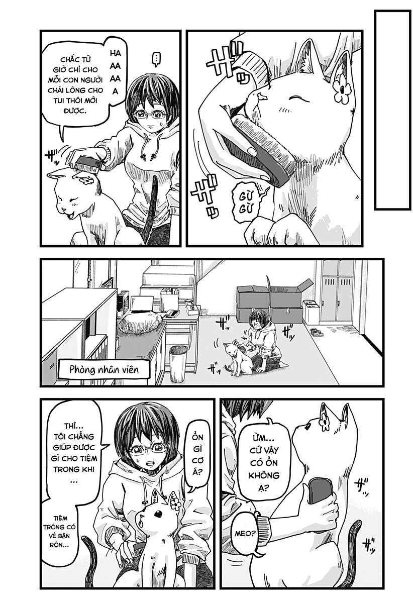 Quán Ramen Mèo Đỏ Chapter 1 - 12