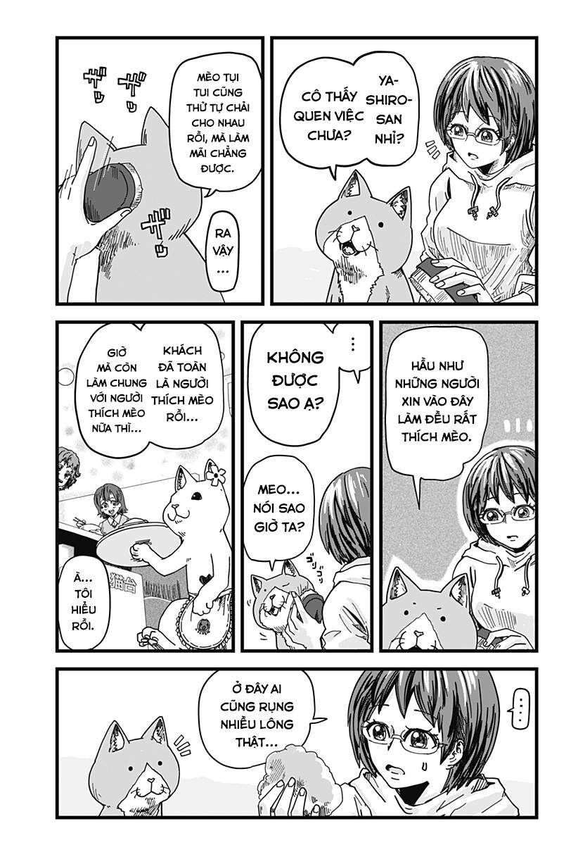 Quán Ramen Mèo Đỏ Chapter 1 - 16