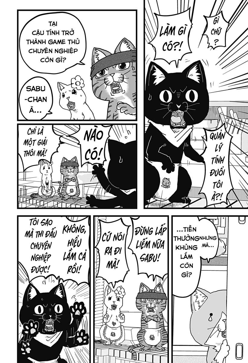 Quán Ramen Mèo Đỏ Chapter 11 - 15