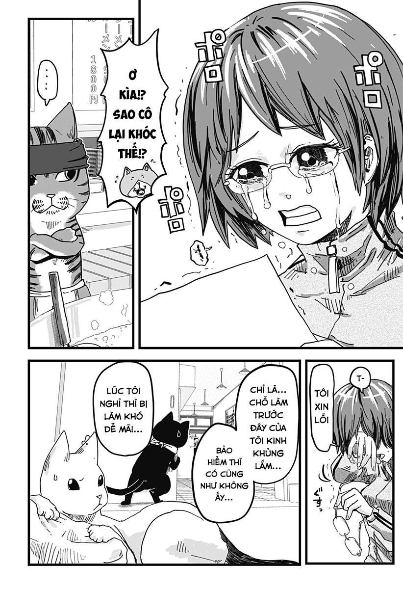 Quán Ramen Mèo Đỏ Chapter 2 - 17