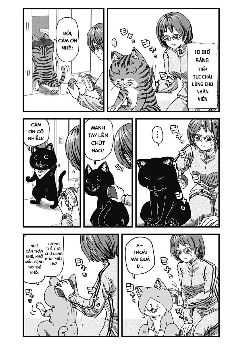 Quán Ramen Mèo Đỏ Chapter 2 - 6