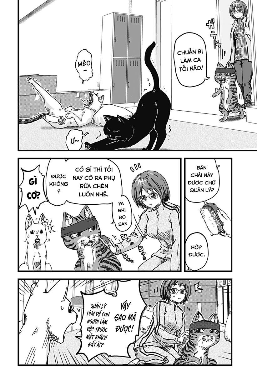 Quán Ramen Mèo Đỏ Chapter 3 - 3