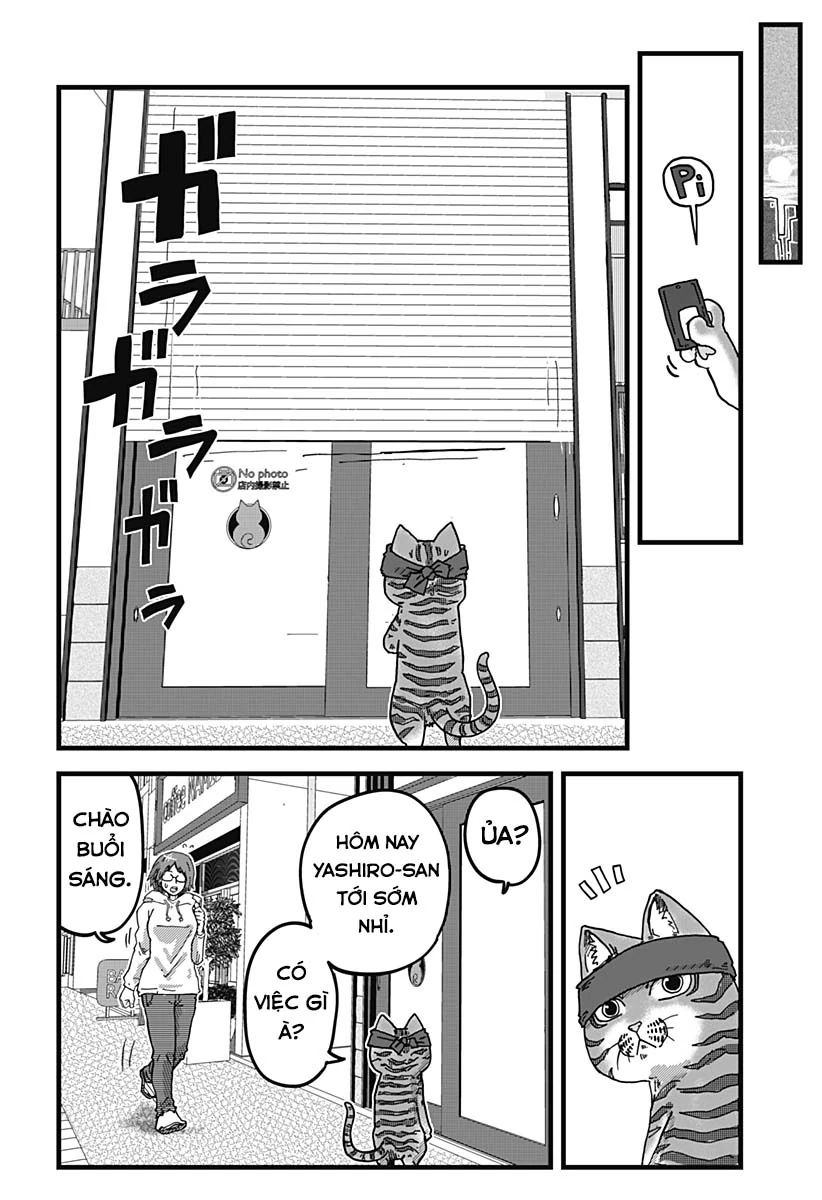 Quán Ramen Mèo Đỏ Chapter 6 - 3