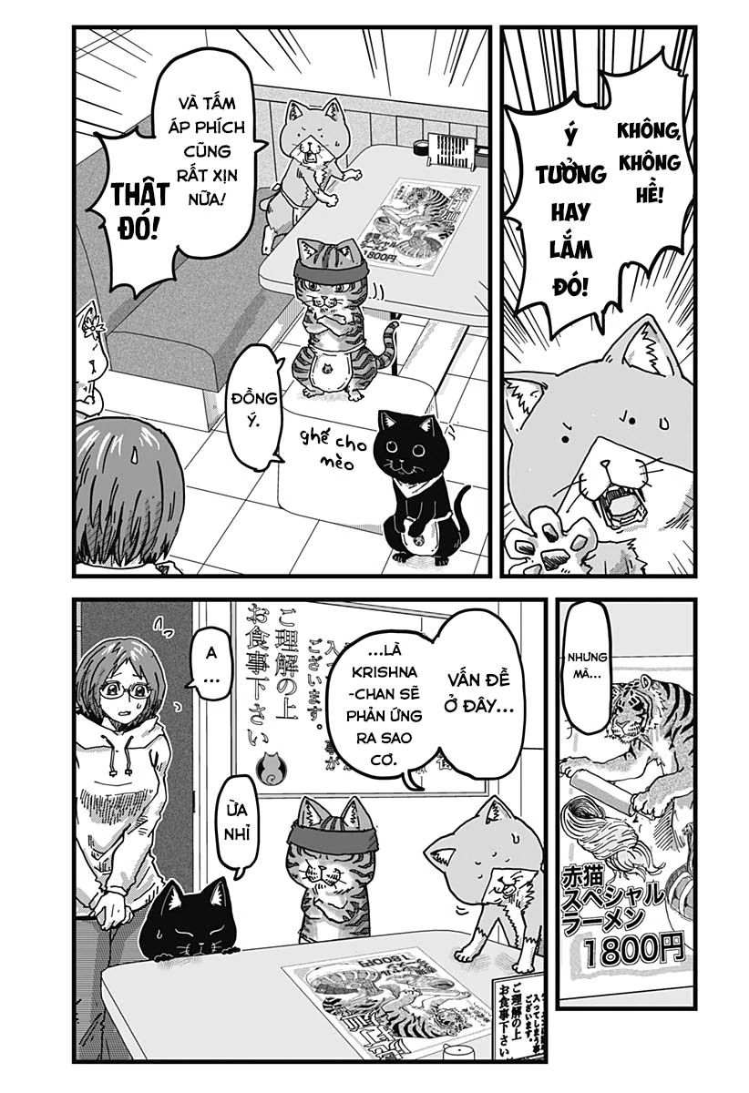 Quán Ramen Mèo Đỏ Chapter 6 - 6