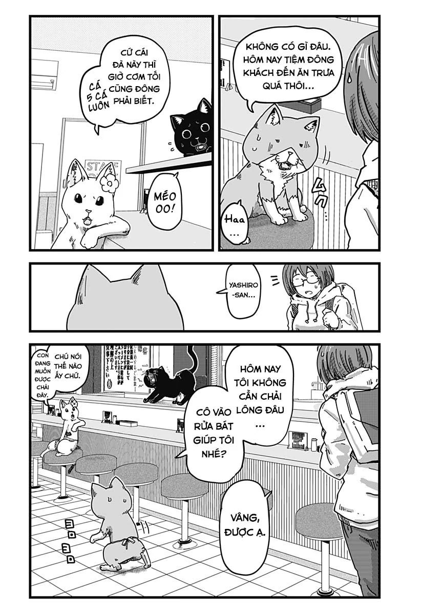 Quán Ramen Mèo Đỏ Chapter 7 - 3
