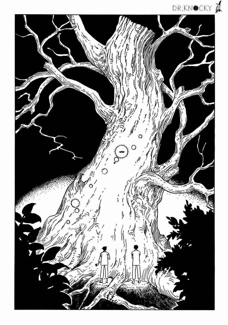 xxxHOLiC Rei Chapter 15 - 12