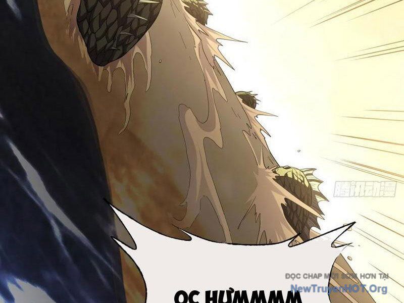 Dị Biến Giáng Lâm Nhân Gian: Triệu Hoán Chi Chủ! Chapter 23 - 14