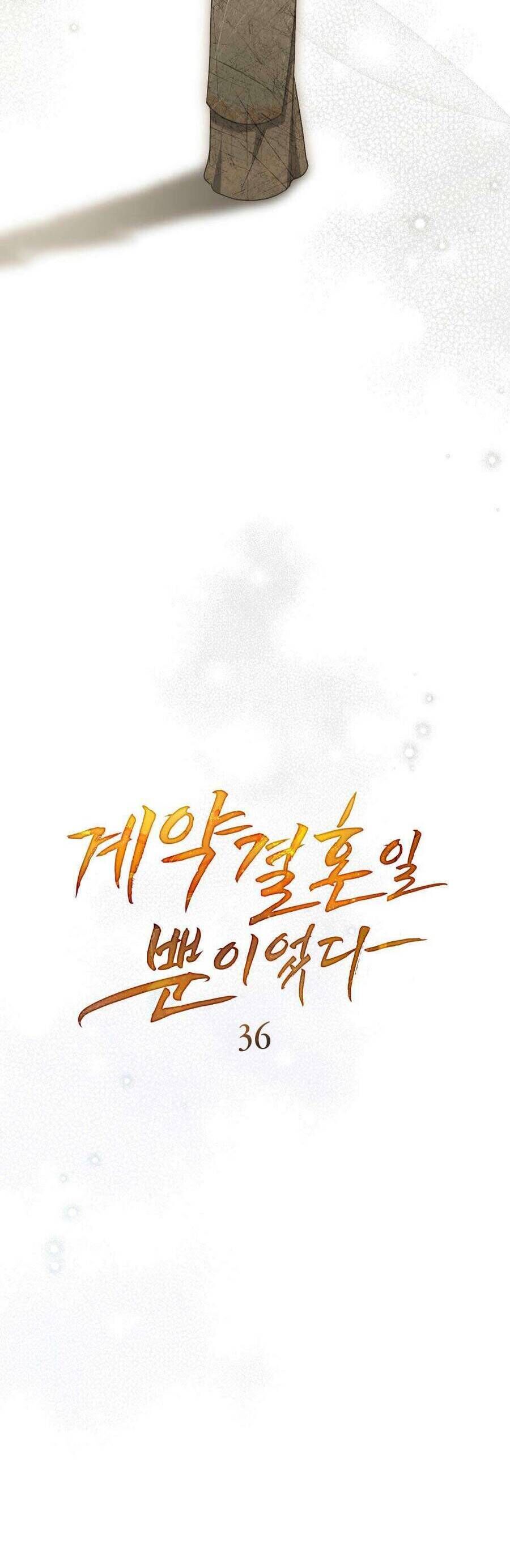 Hôn Nhân Khế Ước Chapter 36 - 16